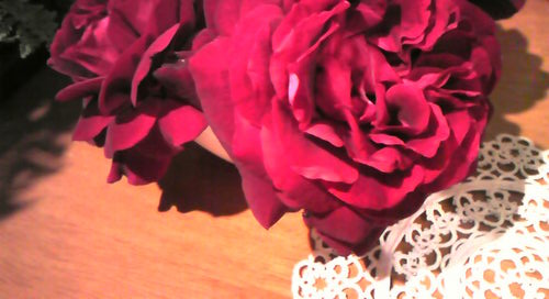 piyokobara's profile picture. 良かったら……ぜひ(mﾟ◇ﾟm)!!  多肉植物 サボテン アロエ エアープランツ ダッジラムＶ１０ 備前焼 為替 海外旅行、ひとつでもアンテナ引っ掛かる人(ﾟ▽ﾟ)/♪http://t.co/zVfJI9KQ