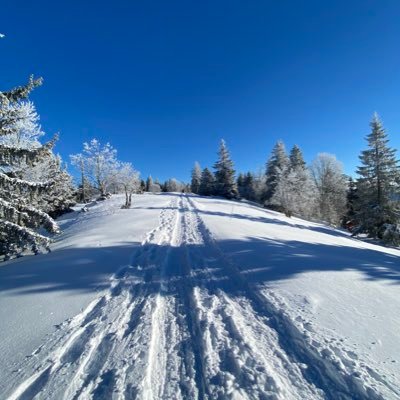 SallinMarkus's profile picture. Leiter Finanzen Krebsliga Schweiz Co-Organisator Stars for Life Betriebsökonom HWV