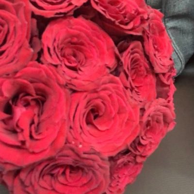 lailam72437077's profile picture. وماالدنيا إلا فناء