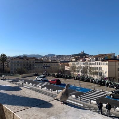 CarmenR61251898's profile picture. 