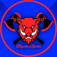 Báquiro eSports (@baquiro_es) 's Twitter Profile