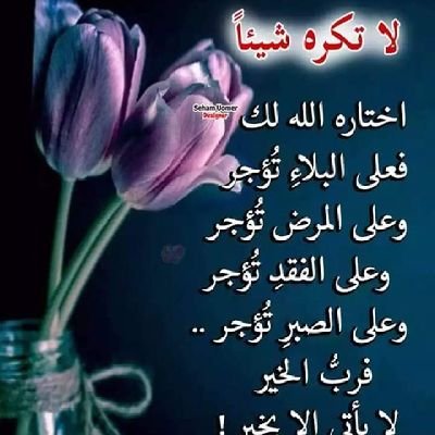 gXxBposmFwb1Vxh's profile picture. ‏‏‏ابو محمد أمين