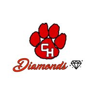 Diamonds Color Guard (@diamonds_chhs) 's Twitter Profile