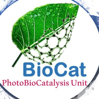 PhotoBioCatalysis lab at ULB 
-Biomass Transformation- Biofuels - Plants pathology & Immunity - mycology - enzymes - father of 2 - responsible of many