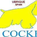 Blas Carrasco Soto - @pielymer - Twitter