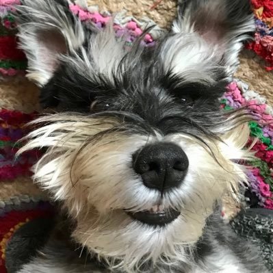 sie3po's profile picture. 