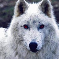 TripleGcs (@g541triple) 's Twitter Profile Photo