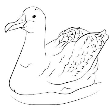 TheBlueAlbatros's profile picture. 