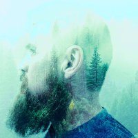 DeCoste (@tiger74paper) 's Twitter Profile