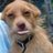 BonJsprCaPasse's profile image