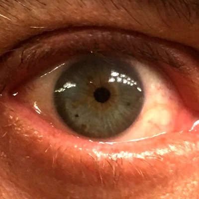 Rikki_Ric's profile picture. #TRUMPBESTPRESIDENTEVER!🇺🇸 #MAKEAMERICAGREATAGAIN🇺🇸 #AMERICAFIRST🇺🇸 #NRA 🇺🇸 #2A • • •🚫NO DM's 🚫NO DM’s🚫 🇺🇸I ALWAYS FOLLOW BACK ALL PATRIOTS🇺🇸