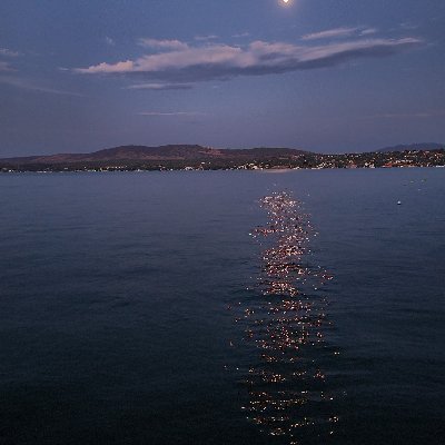 V_Ken_'s profile picture. 