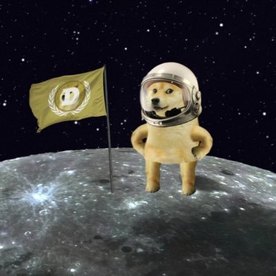 you might know me from memes but now I’m just a humble doge foraging through space tweeting funny shit