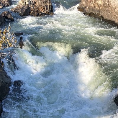 Scott_T_Rehrig's profile picture. 