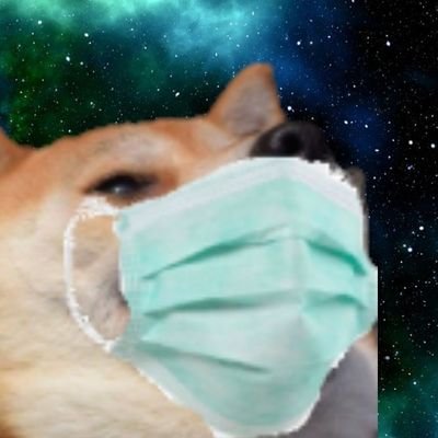 HappyDoggoHP's profile picture. nvm we back