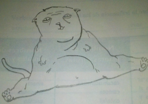 StomachAcidLad's profile picture. boy who likes girls