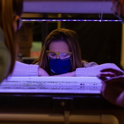 Marine microbial ecology, corals, symbiosis, microbiomes, Astrangia poculata. She/her/hers. @Mtholyoke @Scripps_Ocean alum. Director, @myrwu CEED/Assoc Prof.