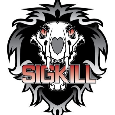SIGKILLGUILD's profile picture. NA based guild on stormrage!