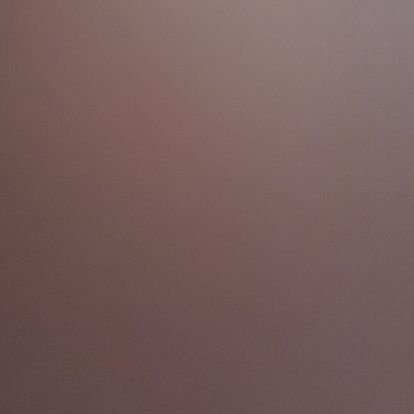 Tavis Nelson Profile