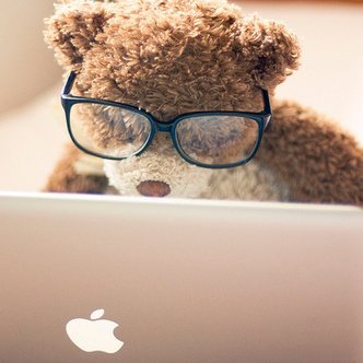 Work At Home Dad, Online Phenom, Professional Poker Player, CEO of many companies, Forex Day Trader.