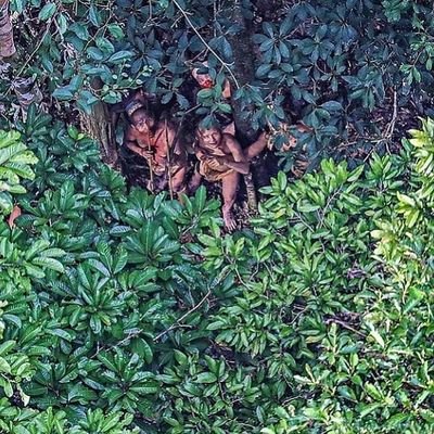 Leandro11843873's profile picture. Anauê ataîru que alegria ter voce comigo aqui na minha casa. Mas, nao se esqueça de lembrar