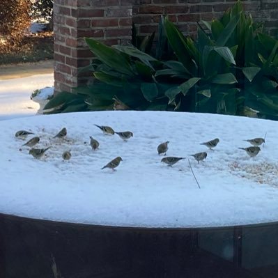 EvolvingMC's profile picture. Wife and mother, doing the best I can.