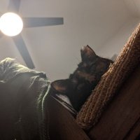 Evin McQuistion (@evinmcquistion) 's Twitter Profile