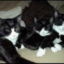 Annie Walsh - @anniewalsh123 - Twitter