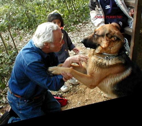 albertonunez33's profile picture. interesado en la política del país y en la internacional. Promotor de la participación ciudadana como el medio idónea para impulsar el desarrollo de´México