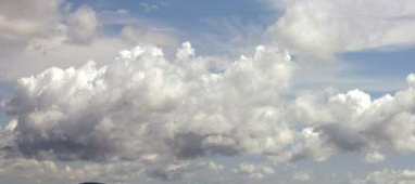 Mephedrone_MPDV's profile picture. 