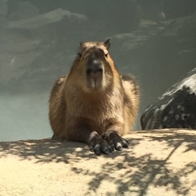 宗さんさんのプロフィール画像