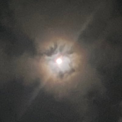 toyatooya's profile picture. ん？と思ったことを何となく呟く。

いいねやリポストは備忘録のためやもう一度見直すために付け
てることが多いです。