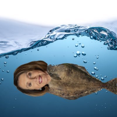 Nancy Pelosi’s Halibut fish/fish she/her they/them   Hopeful new #AnimalCaucus inductee