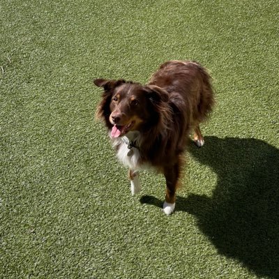 pghn__'s profile picture. 