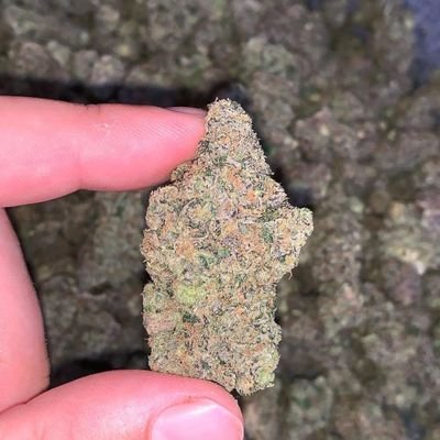 this is my new account🔞⛽⛽🔥🎯💯 and visit our website 👉👇👇👉https://t.co/b66Fr2BYQR