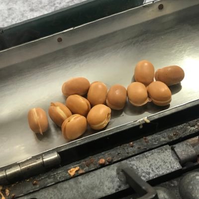 sapporobabycas's profile picture. 札幌でベビーカステラの移動販売をしています