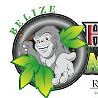 Howler Monkey Resort & Nature Park(@belizemonkey) 's Twitter Profile Photo