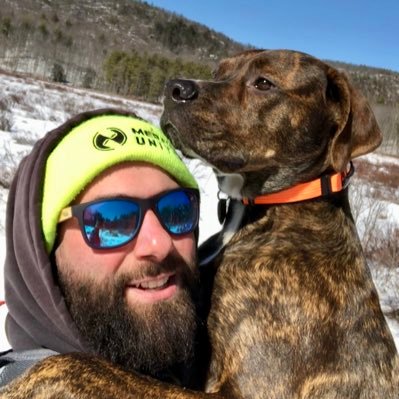 jedo603's profile picture. pure bred american mutt