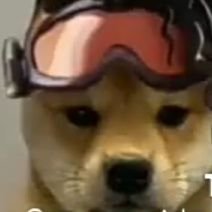 ChrisNe99288839's profile picture. im gae prolly 18 or something