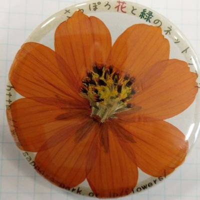 8OqaTjoUFDnaBc9's profile picture. お花🌷🌼🌹が大好きです。
植栽ボランティアをしています。マンガ、ガラスの仮面の続きを、読みたいですね。💐