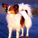 Barbara Layton - @Barbara_Layton - Twitter