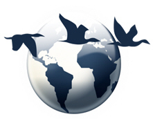 InterBerlin's profile picture. Get to know like-minded expatriates in Berlin in a casual way, find reliable information, tips and enjoy our first-class InterNations events.