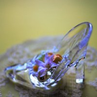 tavarua (@ctavarua) Twitter profile photo