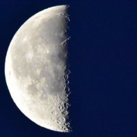 ROM (@lurker_33) 's Twitter Profile