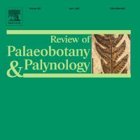 Review of Palaeobotany and Palynology(@RPalaeoboPalyno) 's Twitter Profile Photo