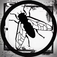 GadFly* 🔻 (@fpl_fly) 's Twitter Profile