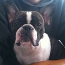 Bridget Gallo - @bgallo808 - Twitter