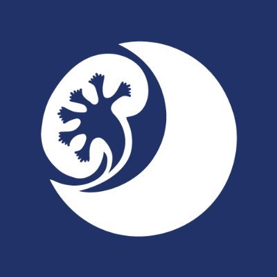 NightlifeStudy's profile picture. Does NIGHT-time dialysis improve quality of LIFE? Led by @drjamesburton, co-ordinated by @LeicesterCTU, sponsored by @uniofleicester and funded by @NIHRresearch