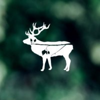 Buck and Birch (@buck_and_birch) 's Twitter Profile