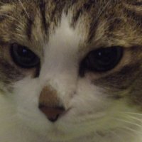 NR.the.Cueball (@ncueball) 's Twitter Profile